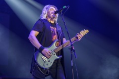 KRUK -  foto: Tomasz Czernek