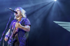 KRUK -  foto: Tomasz Czernek