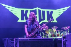 KRUK -  foto: Tomasz Czernek