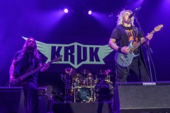 KRUK -  foto: Tomasz Czernek