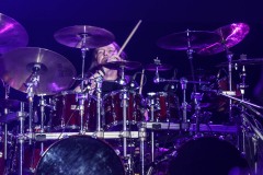 KRUK -  foto: Tomasz Czernek