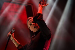 Depeche Mode - foto: Tomasz Czernek