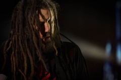 KORN - foto: Tomasz Czernek