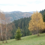 ... w drodze