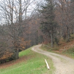 ... w drodze