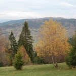 ... w drodze