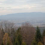 ... w drodze