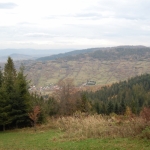 ... w drodze