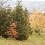... w drodze