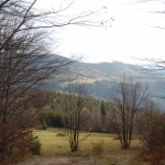 ... w drodze
