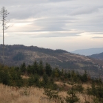 ... w drodze