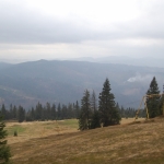 ... w drodze