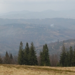 ... w drodze