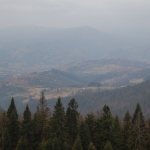 ... w drodze