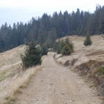 ... w drodze