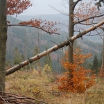 ... w drodze