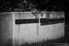 PUDELSI - foto: Małgorzata Rzeszutek