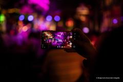 PUDELSI - foto: Małgorzata Rzeszutek