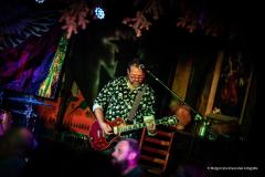 PUDELSI - foto: Małgorzata Rzeszutek