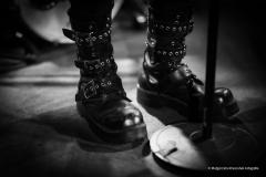 PUDELSI - foto: Małgorzata Rzeszutek