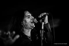 PUDELSI - foto: Małgorzata Rzeszutek