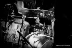 PUDELSI - foto: Małgorzata Rzeszutek