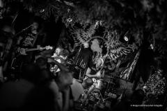 PUDELSI - foto: Małgorzata Rzeszutek