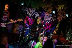 PUDELSI - foto: Małgorzata Rzeszutek