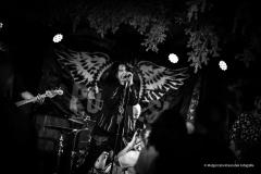 PUDELSI - foto: Małgorzata Rzeszutek