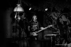 PUDELSI - foto: Małgorzata Rzeszutek