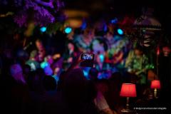 PUDELSI - foto: Małgorzata Rzeszutek