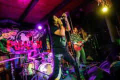 PUDELSI - foto: Małgorzata Rzeszutek