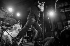 PUDELSI - foto: Małgorzata Rzeszutek