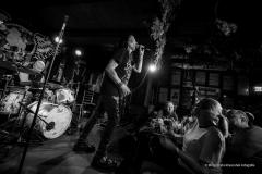 PUDELSI - foto: Małgorzata Rzeszutek