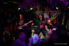 PUDELSI - foto: Małgorzata Rzeszutek