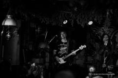 PUDELSI - foto: Małgorzata Rzeszutek