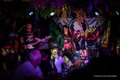 PUDELSI - foto: Małgorzata Rzeszutek