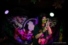 PUDELSI - foto: Małgorzata Rzeszutek