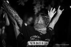 PUDELSI - foto: Małgorzata Rzeszutek