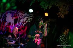 PUDELSI - foto: Małgorzata Rzeszutek