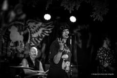 PUDELSI - foto: Małgorzata Rzeszutek