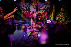 PUDELSI - foto: Małgorzata Rzeszutek