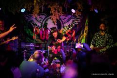 PUDELSI - foto: Małgorzata Rzeszutek