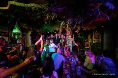 PUDELSI - foto: Małgorzata Rzeszutek