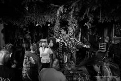 PUDELSI - foto: Małgorzata Rzeszutek