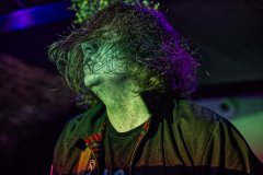 SNAKE_Baza-foto-Andrzej-Wodzinski-__1