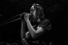 SNAKE_Baza-foto-Andrzej-Wodzinski-__3