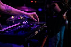 SNAKE_Baza-foto-Andrzej-Wodzinski-__4