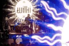 Wilki - foto: Sławomir Natoński