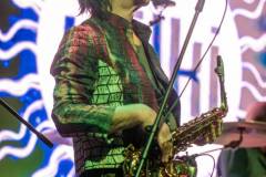 Wilki - foto: Sławomir Natoński